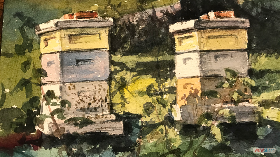 BEE HIVES watercolor