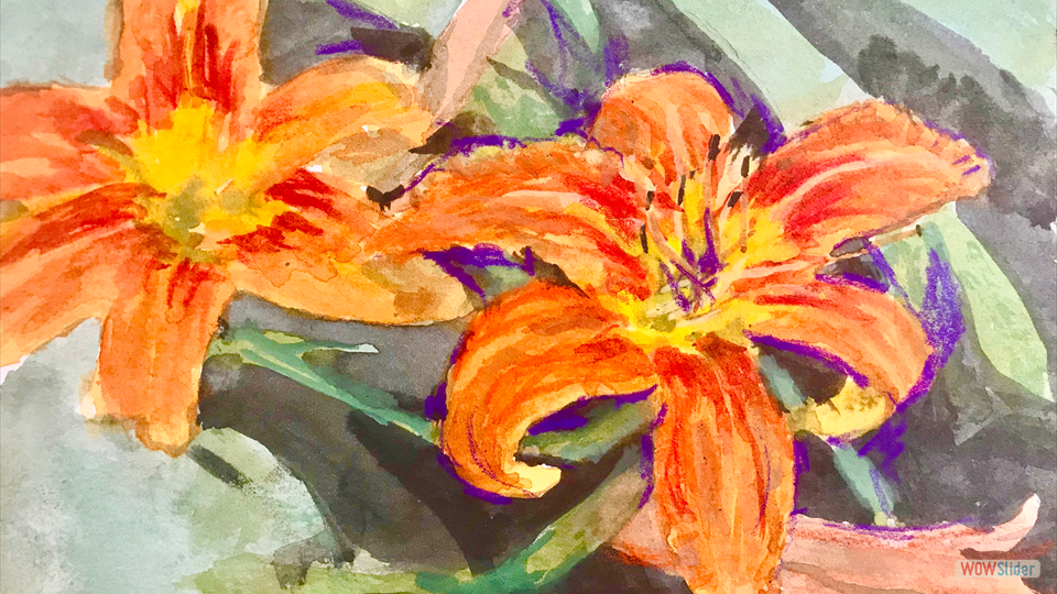 DAY LILYS watercolor